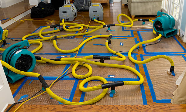 Professional Burst Pipe Water Damage technician working in Buckner, KY